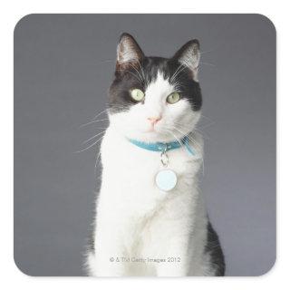 Black and white cat square sticker