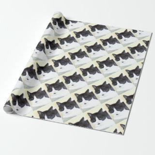 Black and White Cat