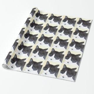 Black and White Cat