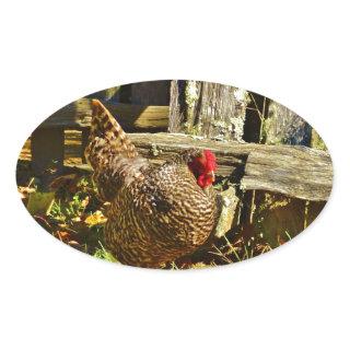Black and white Chicken in farmyard Oval Sticker