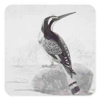 Black and White Kingfisher Square Sticker