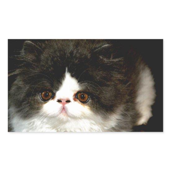 Black and White Kitten Rectangular Sticker