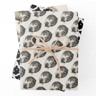 Black and white pencil drawing of a sleeping cat  sheets