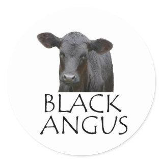 Black Angus Cow Classic Round Sticker