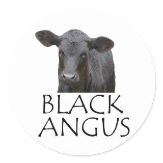 Black Angus Cow Classic Round Sticker