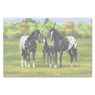 Black Appaloosa Horses In Summer Pasture Tissue Paper