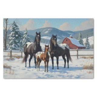 Black Appaloosa Horses on a Farm in Winter Tissue Paper
