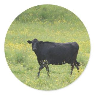 Black Cow_0075 Classic Round Sticker