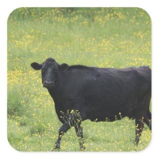 Black cow square sticker