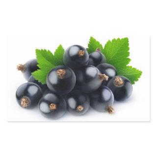 Black currants rectangular sticker