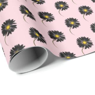 black daisy on pink