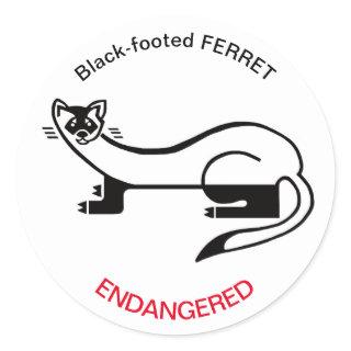 Black-footed FERRET- Endangered animal - USA Classic Round Sticker