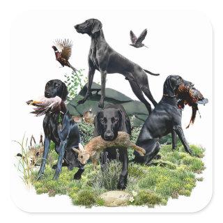 Black German Shorthaired Pointers    Square Sticker