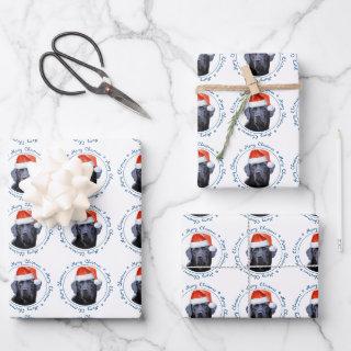 Black Labrador Merry Christmas Cute Santa Dog  Sheets