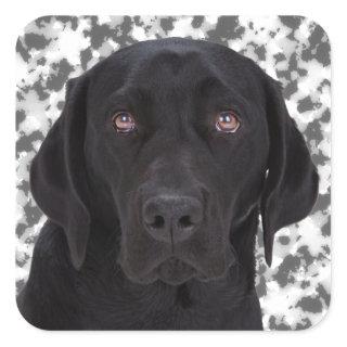 Black Labrador Retriever Square Sticker