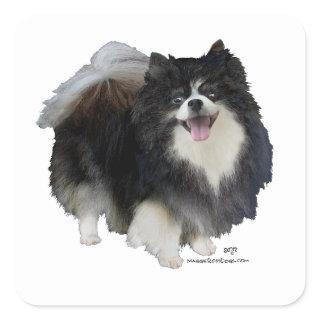 Black Pomeranian Square Sticker
