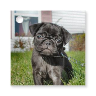 Black pug puppy favor tags
