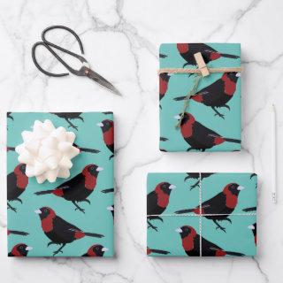 Black Red Crimson-Collared Tanager Bird Songbird  Sheets