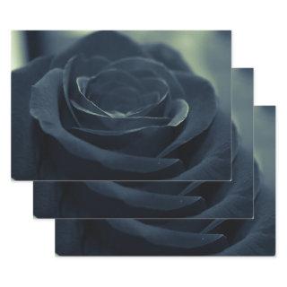 Black Rose Flower Dark Gothic Vibe  Sheets