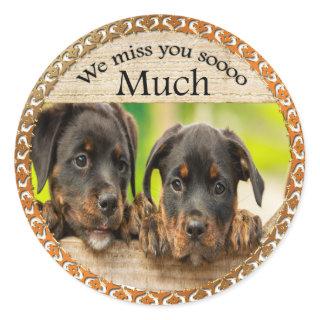 Black Rottweiler cute puppy dogs with sad faces Classic Round Sticker