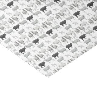 Black Sheep Dare to be Different Tissue Paper