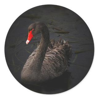 Black Swan Classic Round Sticker