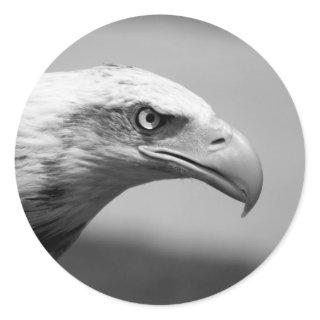 Black & White Eagle Eye Classic Round Sticker