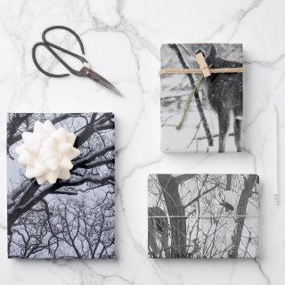 Black White Winter Nature Wildlife Deer  Sheets