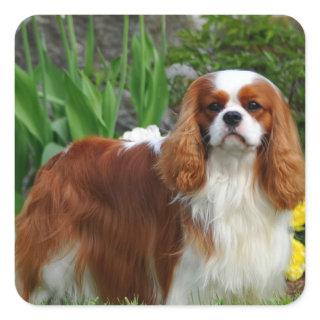 Blenheim Cavalier King Charles Spaniel Puppy Dog Square Sticker