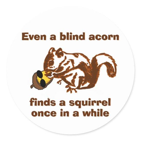 Blind Squirrel Classic Round Sticker