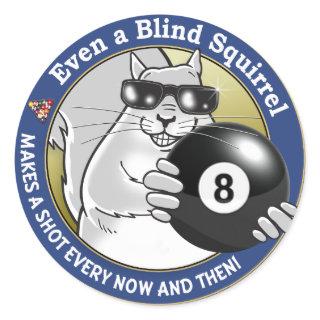 Blind Squirrel Pool Classic Round Sticker