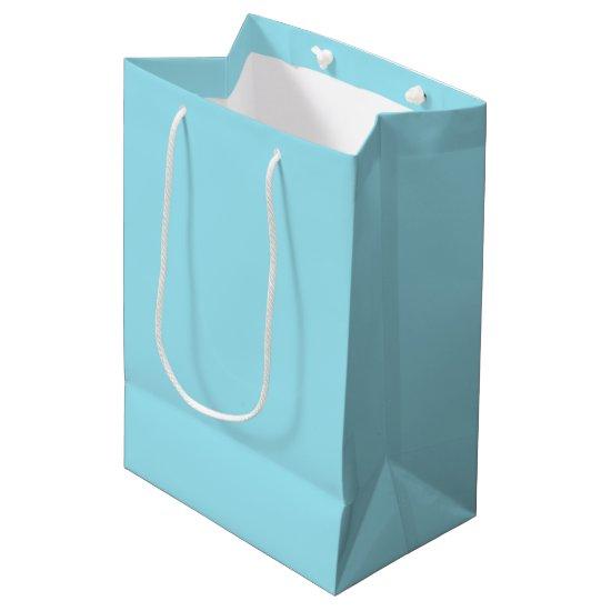 Blizzard Blue Solid Color Medium Gift Bag