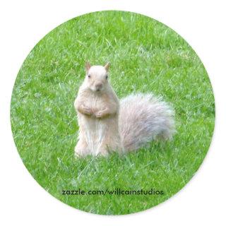Blonde Squirrel Classic Round Sticker