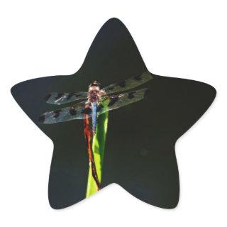 Blue and black  Dragonfly on green and red grass Star Sticker