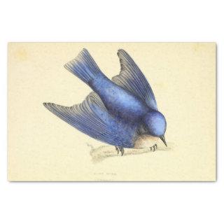 Blue Bird Ephemera Decoupage Tissue Paper
