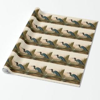 Blue Crane Heron Audubon Painting