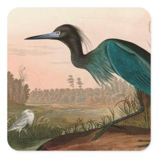 Blue Crane or Heron Birds of America Audubon Print Square Sticker
