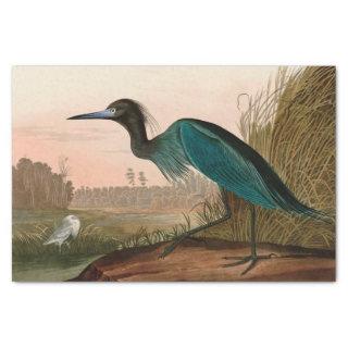 Blue Crane or Heron Birds of America Audubon Print Tissue Paper