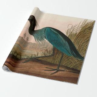 Blue Crane or Heron Birds of America Audubon Print