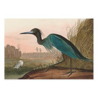 Blue Crane or Heron Birds of America Audubon Print  Sheets