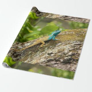 Blue-Crested Lizard Calotes Mystaceus