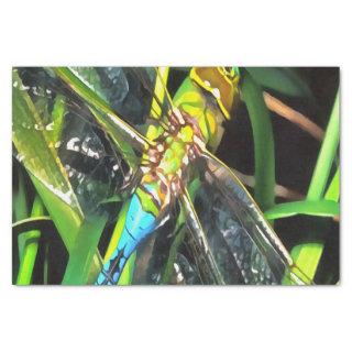 Blue Dragonfly Shimmering Wings Painting Tissue Paper