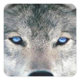 Blue Eyed Wolf Square Sticker