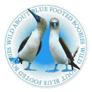 Blue Footed Boobies Birds Stickers