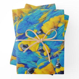 Blue & Gold Macaws Pattern  Sheets