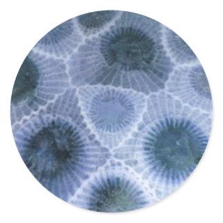 Blue Gray Petoskey Stone Stickers