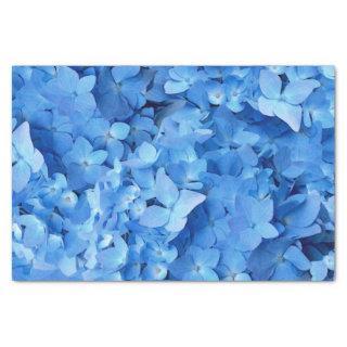 Blue Hydrangeas Real Flowers  Tissue Paper