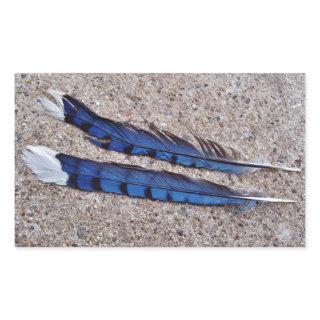 Blue Jay bird feathers Rectangular Sticker