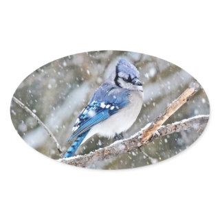 Blue Jay in a Snowstorm Oval Sticker