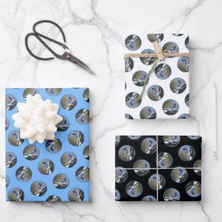 Blue Jay in Winter Snow Painting Original Bird Art  Sheets